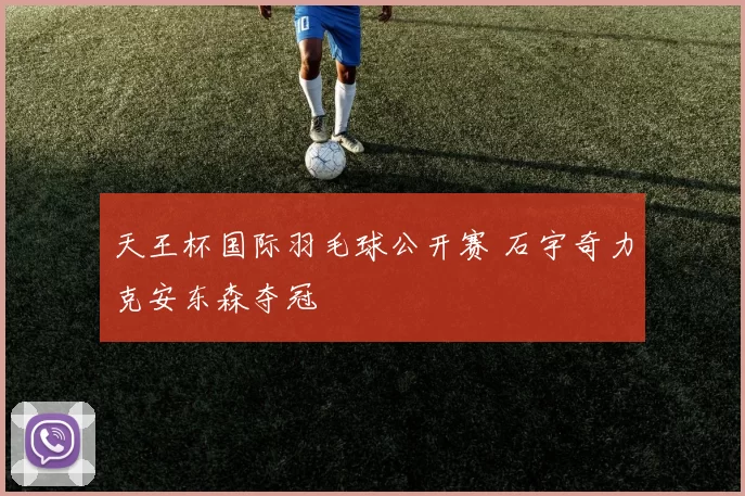 天王杯国际羽毛球公开赛 石宇奇力克安东森夺冠