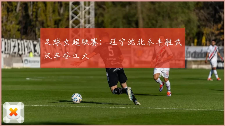 足球女超联赛：辽宁沈北禾丰胜武汉车谷江大