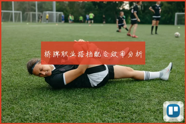 桥牌职业搭档配合效率分析