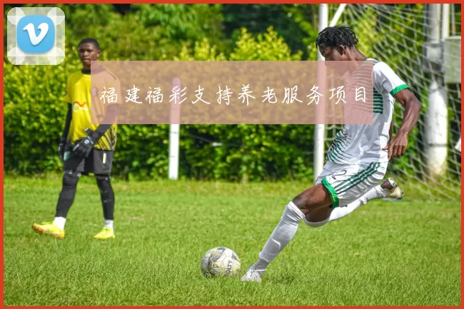 福建福彩支持养老服务项目