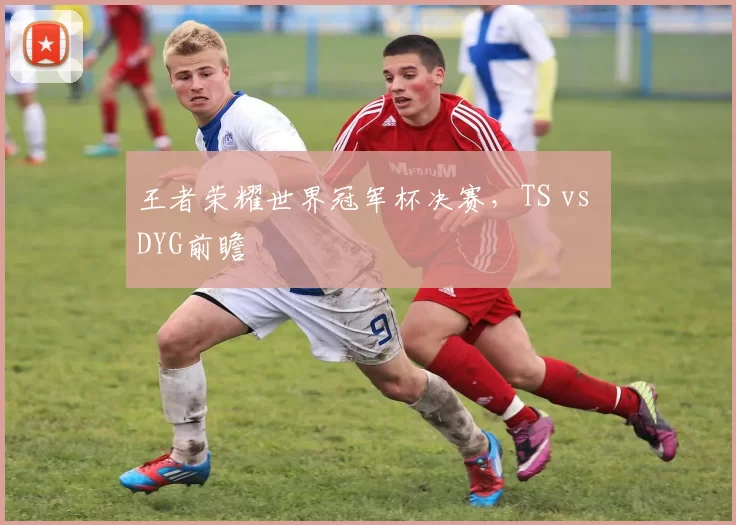 王者荣耀世界冠军杯决赛，TS vs DYG前瞻