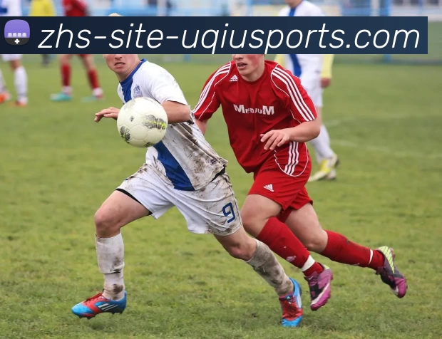 多媒体互动体验